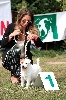  - Nationale d'élevage Jack Russell Terrier